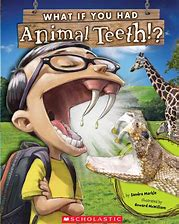Animal Teeth Book